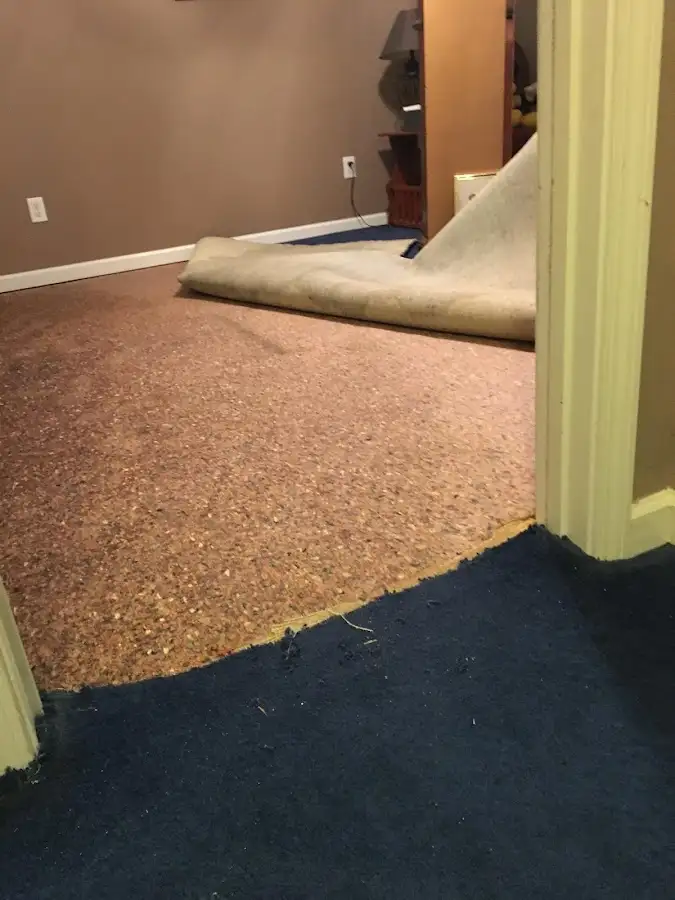 Carpet pad removal revealing water damage during Water Mitigation Services in Ringwood