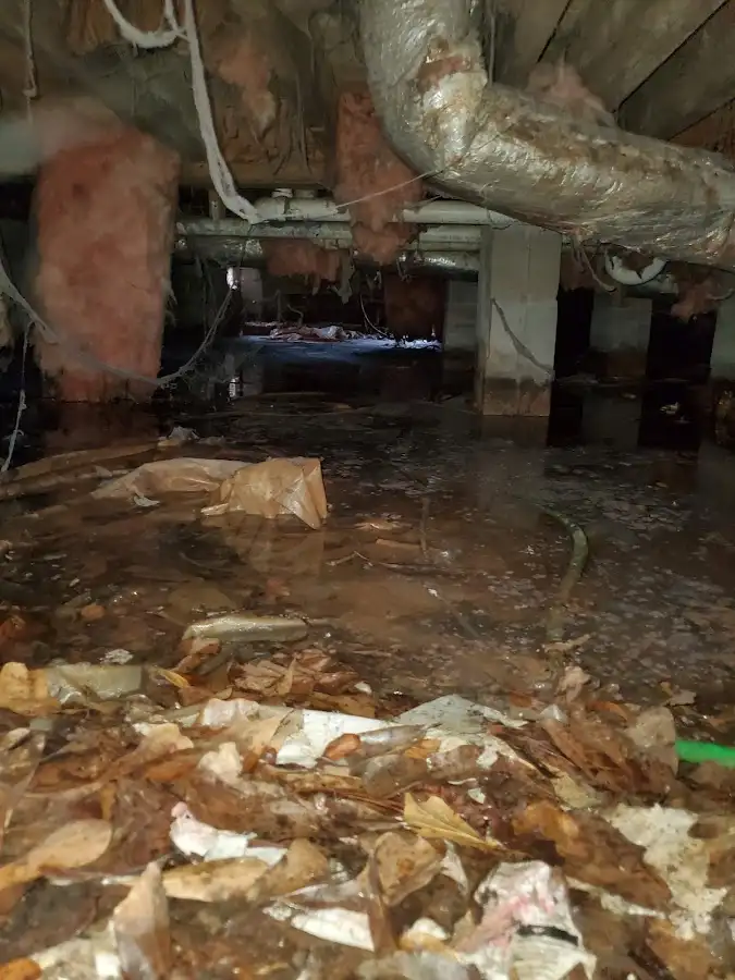 Crawl space flood assessment for Commercial Water Damage Restoration in Ringwood